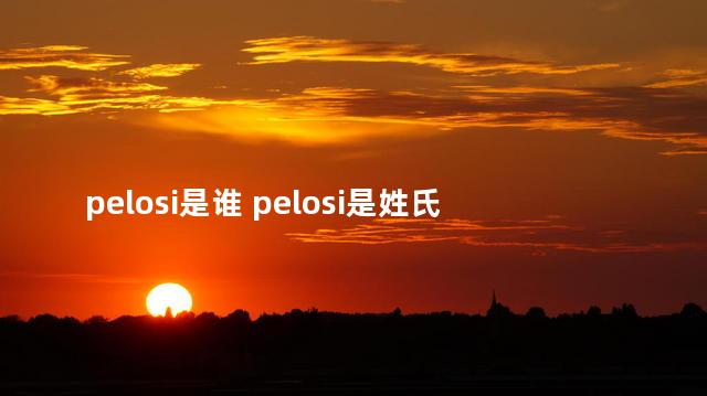pelosi是谁 pelosi是姓氏吗